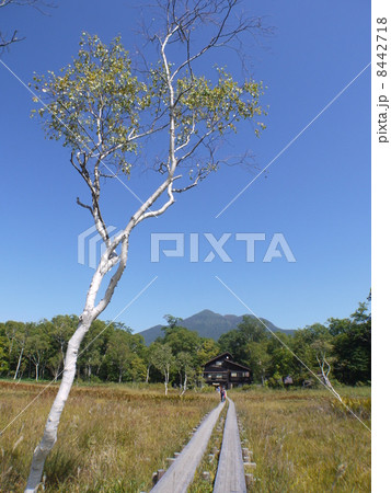 尾瀬ヶ原 竜宮 尾瀬ヶ原 竜宮 8442718