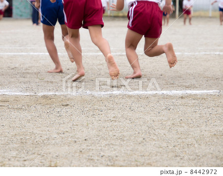 運動会 運動会 8442972