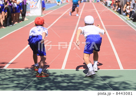 運動会 運動会 8443081