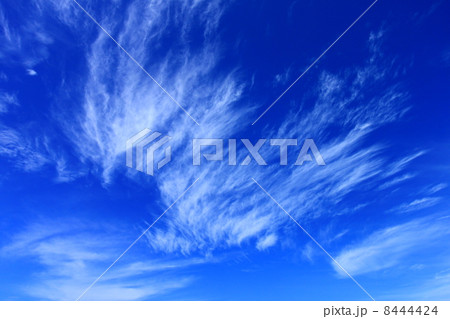 夏の空 夏の空 8444424