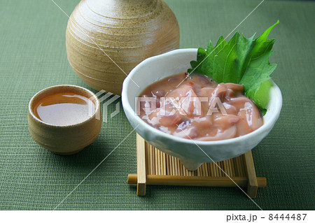 真いか塩辛 8444487