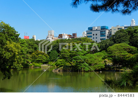 青空が広がる六義園の池と周囲のグリーン 8444583