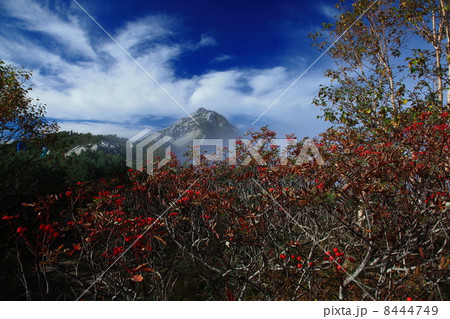紅葉の燕岳 紅葉の燕岳 8444749