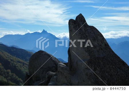 イルカ岩 イルカ岩 8444750