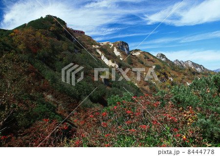 燕岳山頂直下の紅葉 8444778