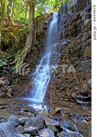 母の白滝（下段） 8444976