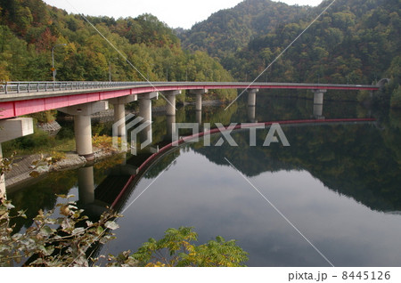 定山渓ダム さっぽろ湖 定山渓ダム さっぽろ湖 8445126
