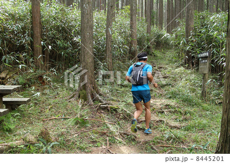 トレイルランニング トレイルランニング 8445201