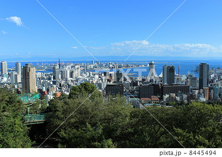 ビーナスブリッジ 8445494