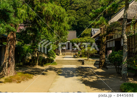 夏の円覚寺　鎌倉 8445698