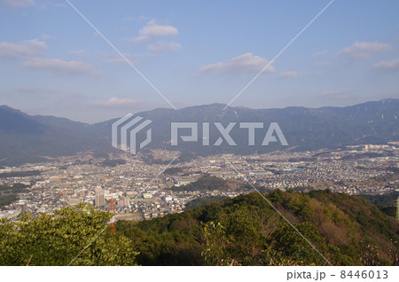 井野山 井野山 8446013