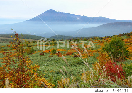 八幡平から見た岩手山 八幡平から見た岩手山 8446151