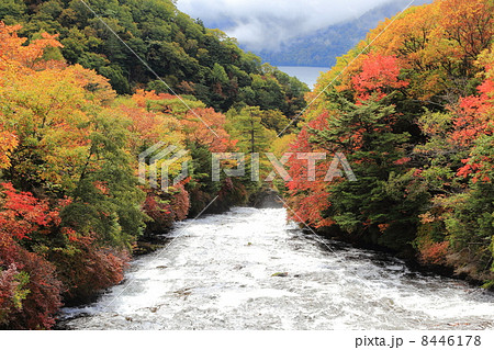 Ryūzu Falls 8446178