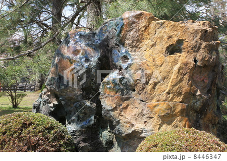 玉鹿石 玉鹿石 8446347