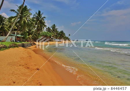 Hikkaduwa, Sri Lanka 8446457