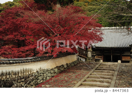 京都 宝積寺の紅葉 京都 宝積寺の紅葉 8447363
