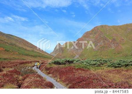 秋田駒ケ岳のムーミン谷と男岳 8447585