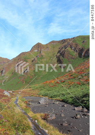 秋田駒ケ岳のムーミン谷と馬の背 秋田駒ケ岳のムーミン谷と馬の背 8447586