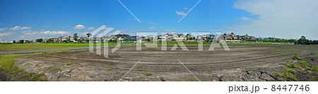 見沼田圃・上山口新田 見沼田圃・上山口新田 8447746