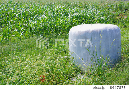 畜産飼料の牧草ロール 8447873