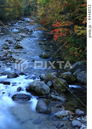 賀老の滝下流の紅葉 賀老の滝下流の紅葉 8448052
