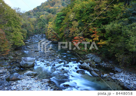 賀老の滝下流の紅葉 8448058