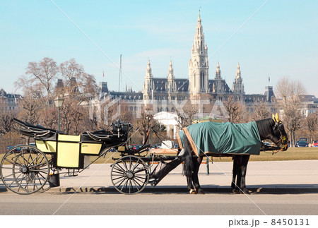 Two horses in cape with open cart near Wiener Rathaus in Vienna, Austria 8450131