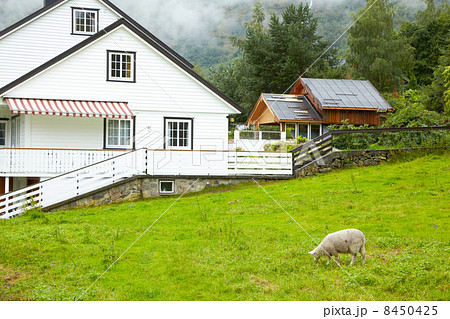 Cottage in mountains, sheep grazes in front of house. Cottage in mountains, sheep grazes in front of house. 8450425