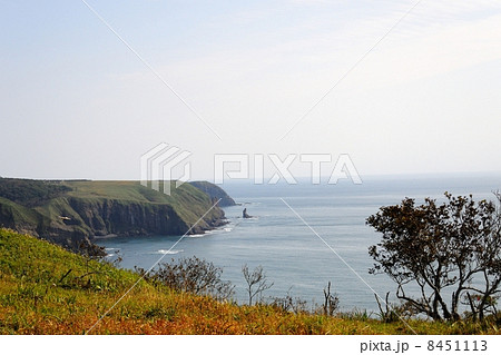 秋の厚岸道立自然公園原生花園あやめヶ原 8451113