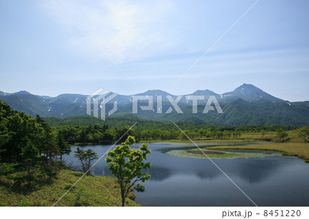 知床五湖展望台から眺める一湖 知床五湖展望台から眺める一湖 8451220