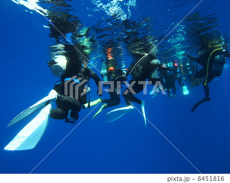 スキューバダイビング 8451816