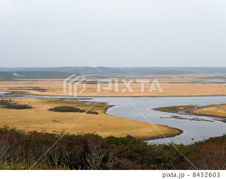 浜中観光十景　秋の霧多布湿原 8452603