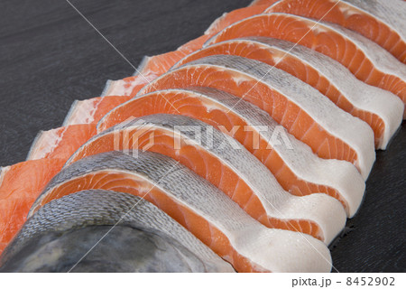 鮭 8452902