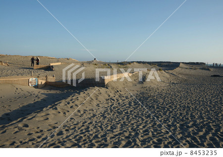 中田島砂丘（静岡県） 8453235