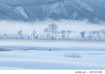 冬の朝 冬の朝 8454166