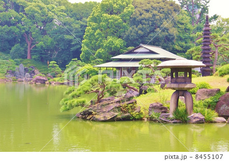 清澄庭園 8455107