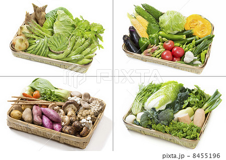 四季折々の野菜 8455196