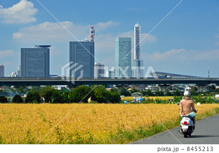 見沼田圃・秋の上山口新田とさいたま新都心 8455213