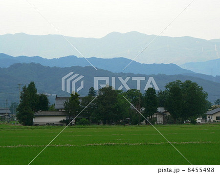 安曇野　屋敷林 8455498