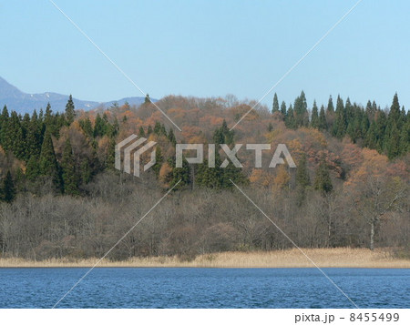 青木湖　初冬 8455499