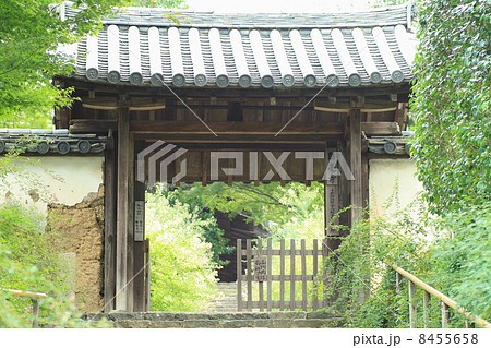 白毫寺　山門 8455658