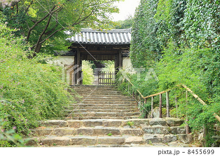 萩の花 白毫寺 萩の花 白毫寺 8455699
