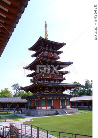 薬師寺西塔 8456420