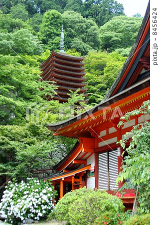 談山神社 8456424