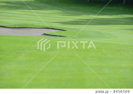 ゴルフ場 8456509