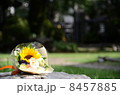 花束 8457885