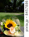 花束 8457886