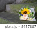 花束 8457887