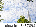空 8457898