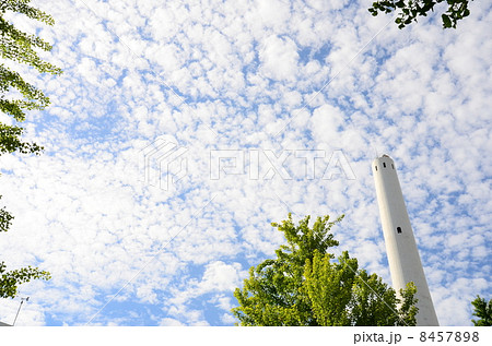 空 8457898